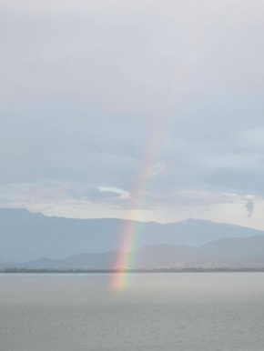 LAKE Dream 1